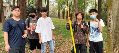 裝飾性圖片