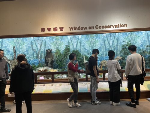 裝飾性圖片