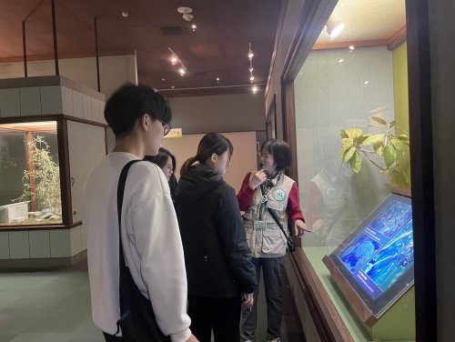 裝飾性圖片